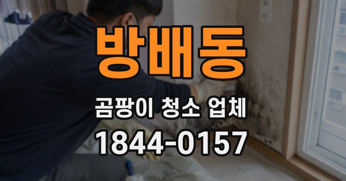 방배동 곰팡이 청소 업체