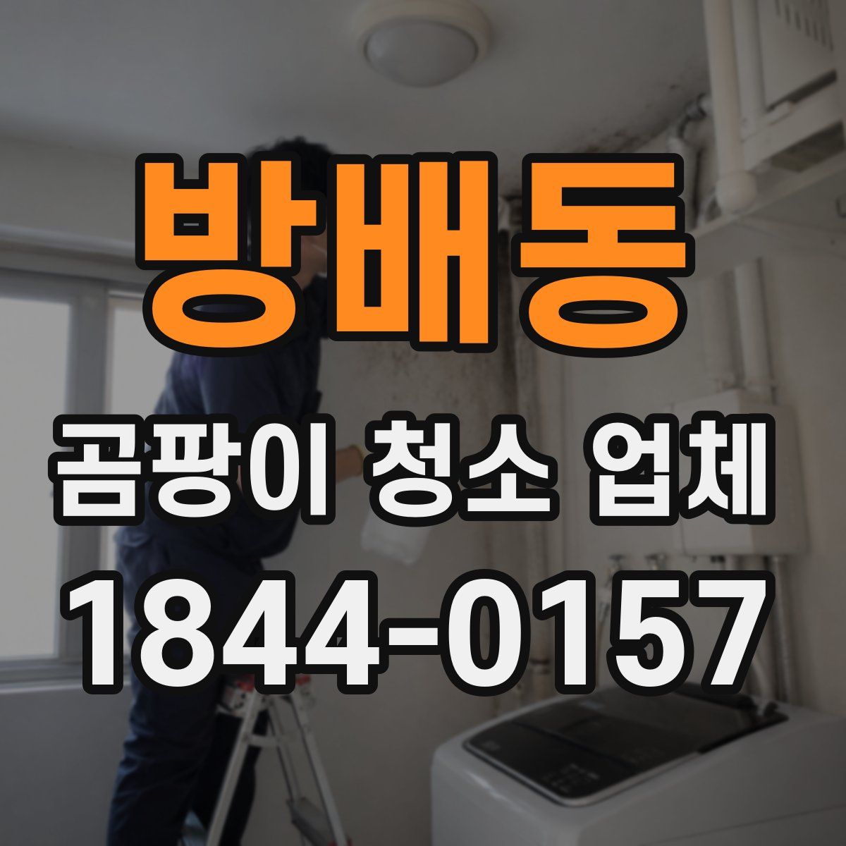 방배동 곰팡이 청소 업체