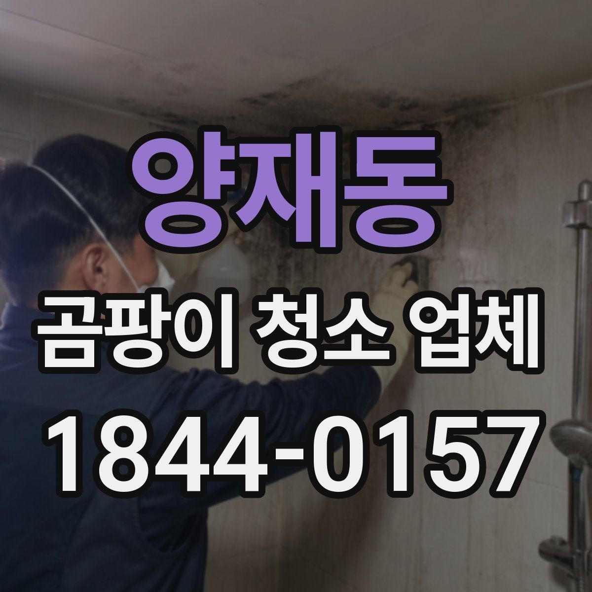 양재동 곰팡이 청소 업체 서비스 신청 전 알아둘 일정