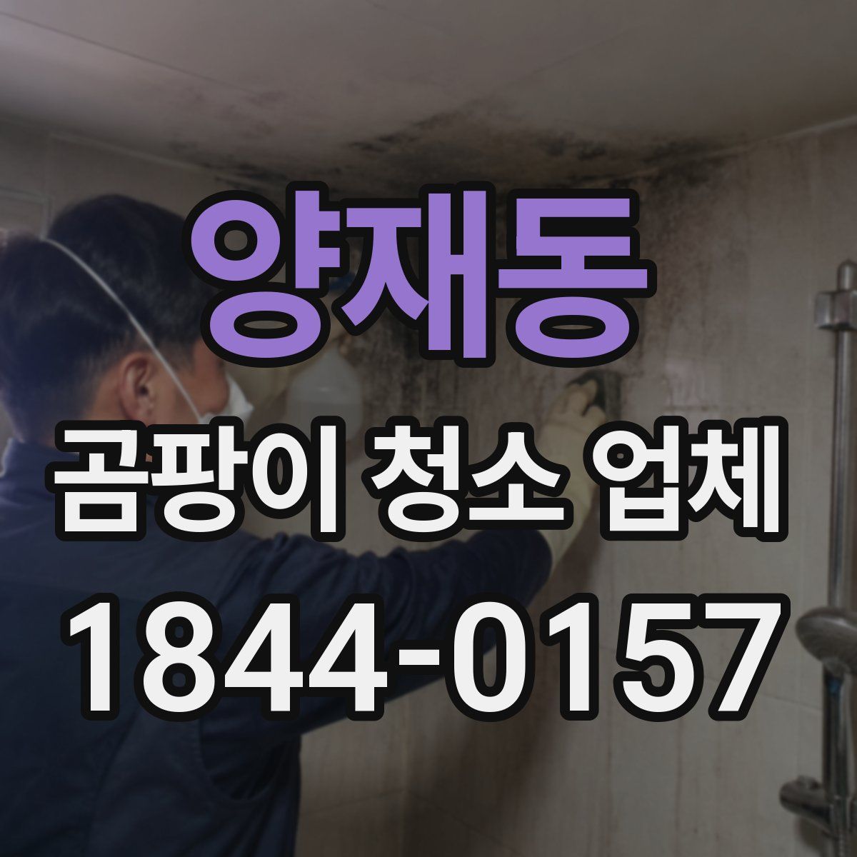 양재동 곰팡이 청소 업체