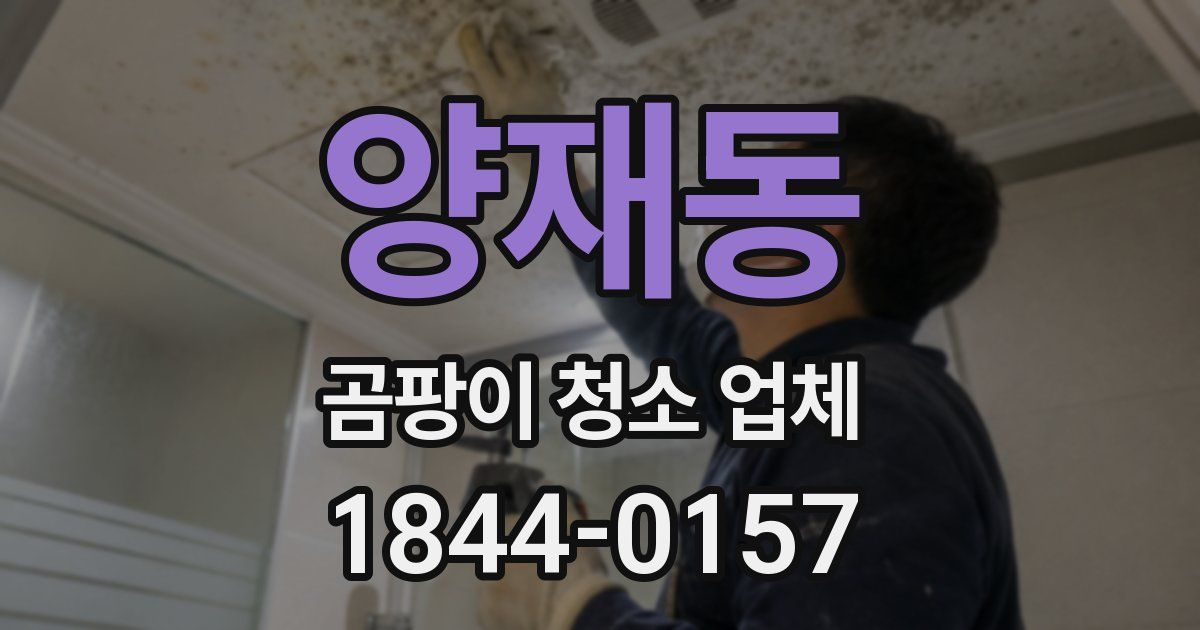 양재동 곰팡이 청소 업체