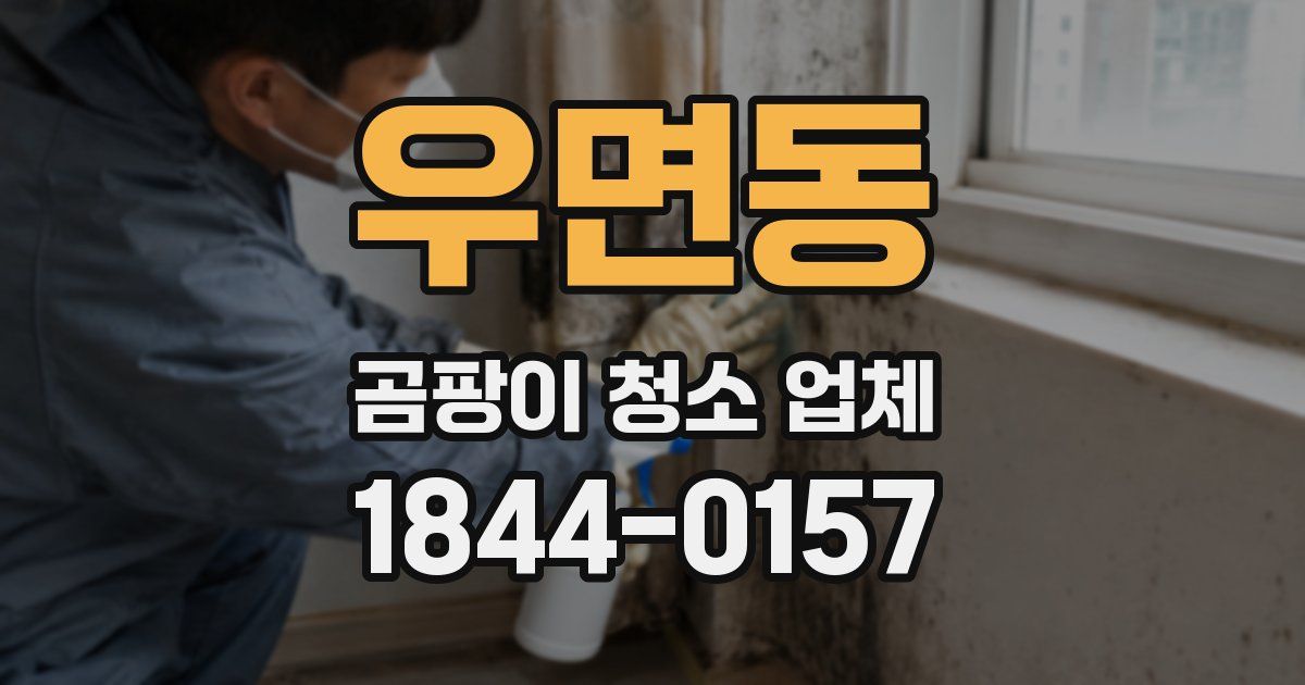 우면동 곰팡이 청소 업체