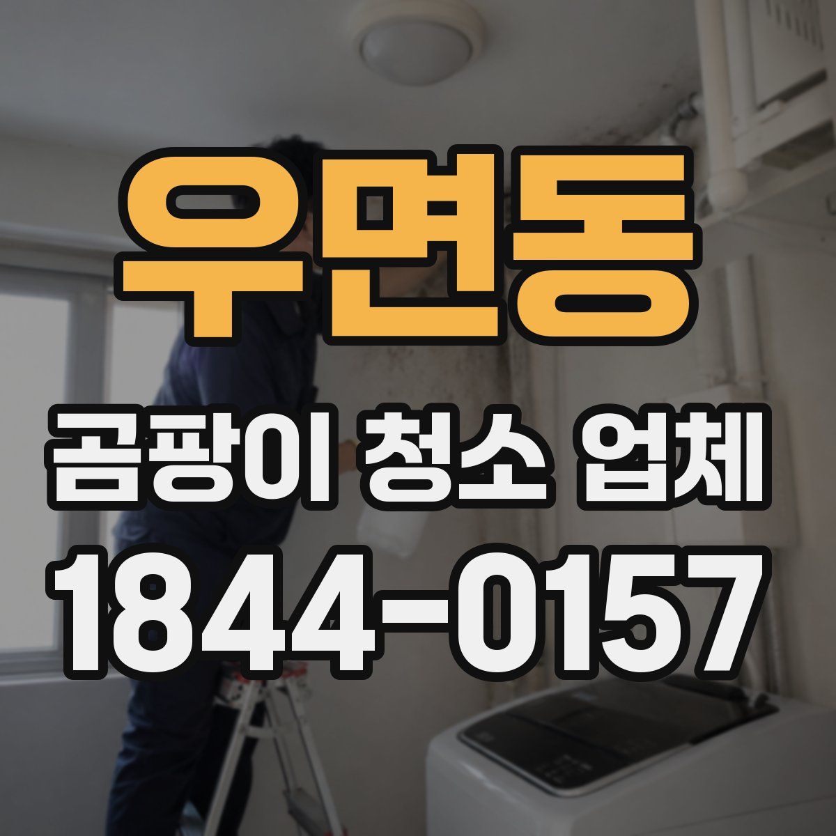우면동 곰팡이 청소 업체