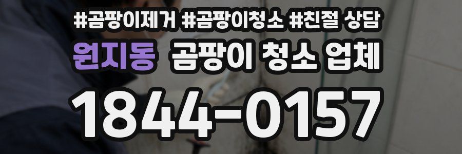 원지동 곰팡이 청소 업체