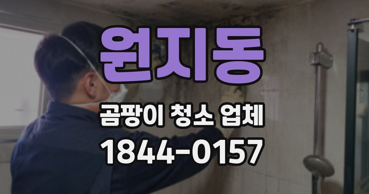 원지동 곰팡이 청소 업체