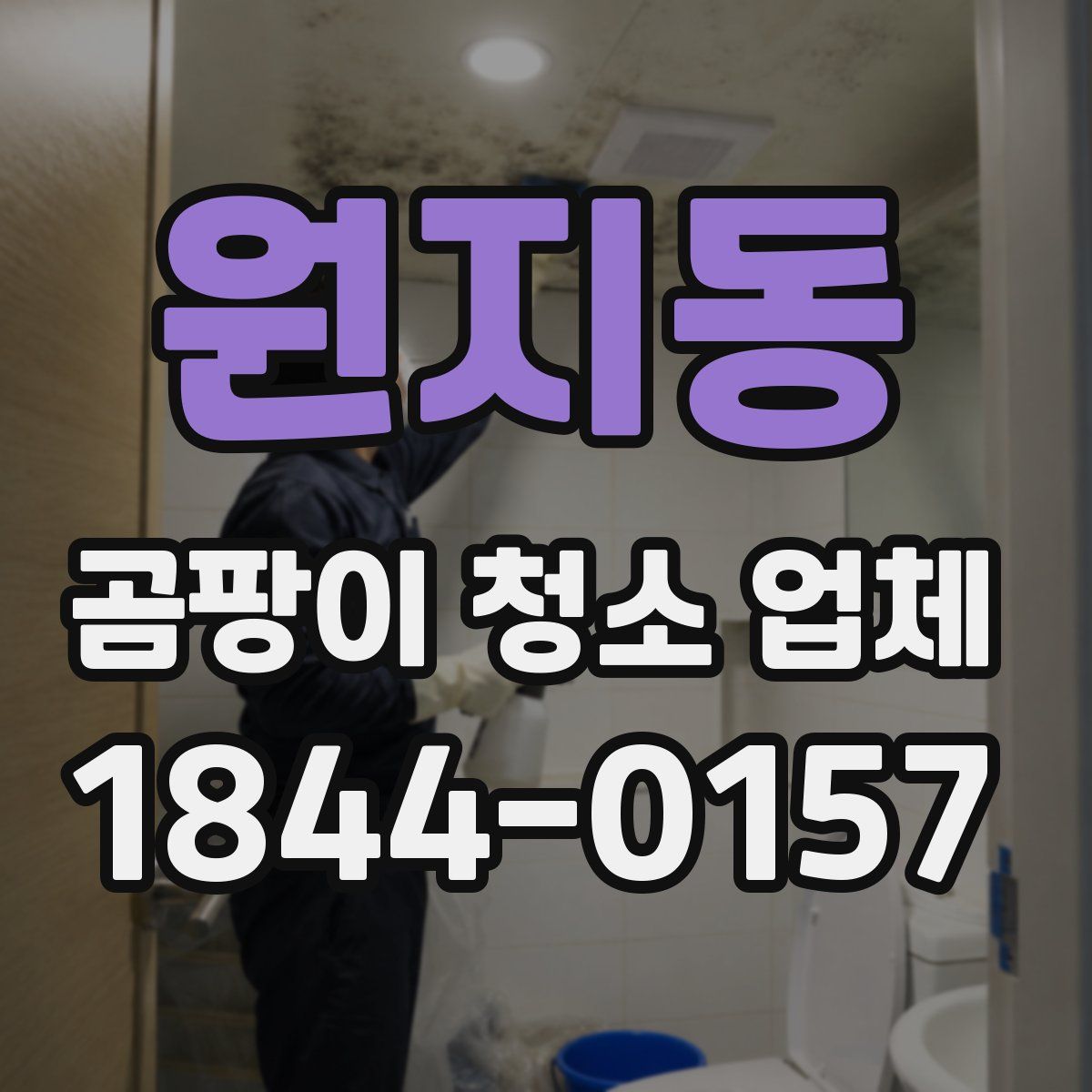 원지동 곰팡이 청소 업체
