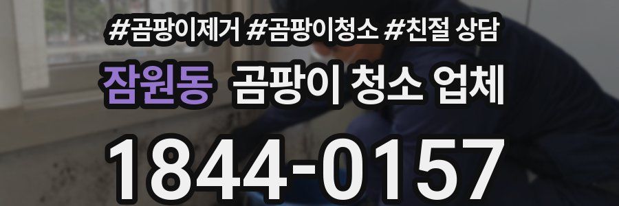 잠원동 곰팡이 청소 업체