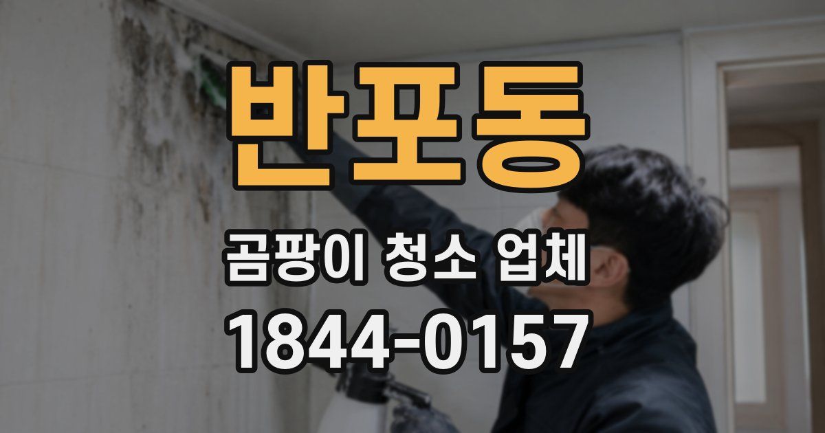 반포동 곰팡이 청소 업체