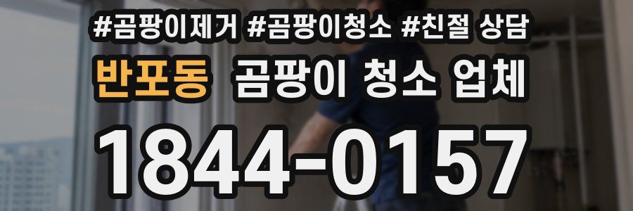 반포동 곰팡이 청소 업체