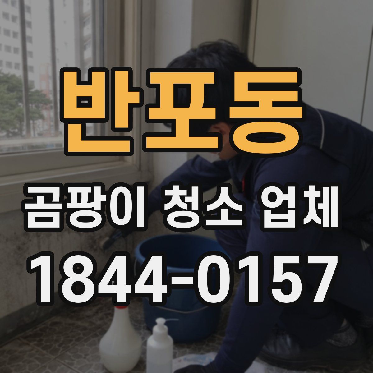 반포동 곰팡이 청소 업체