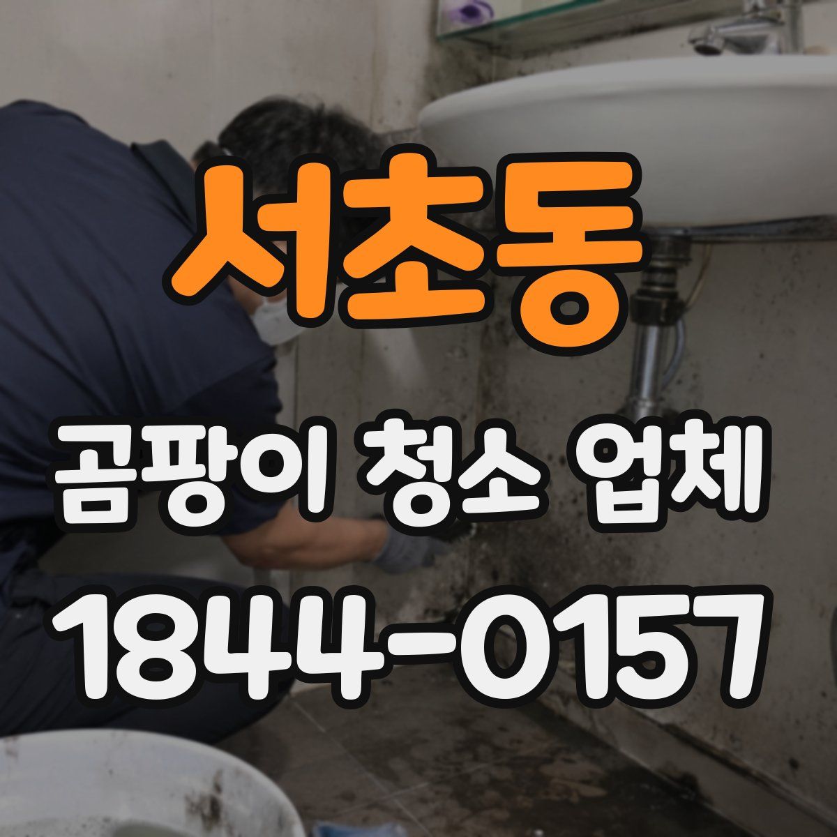 서초동 곰팡이 청소 업체