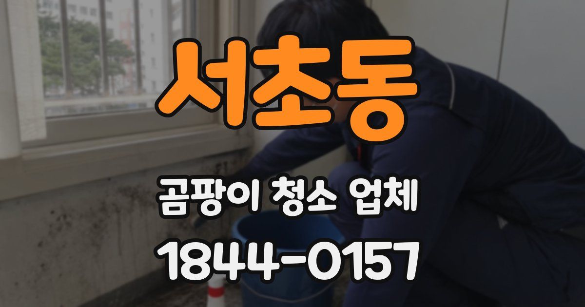 서초동 곰팡이 청소 업체