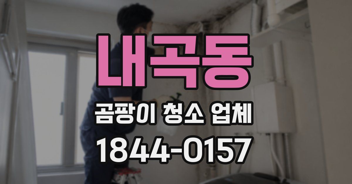 내곡동 곰팡이 청소 업체