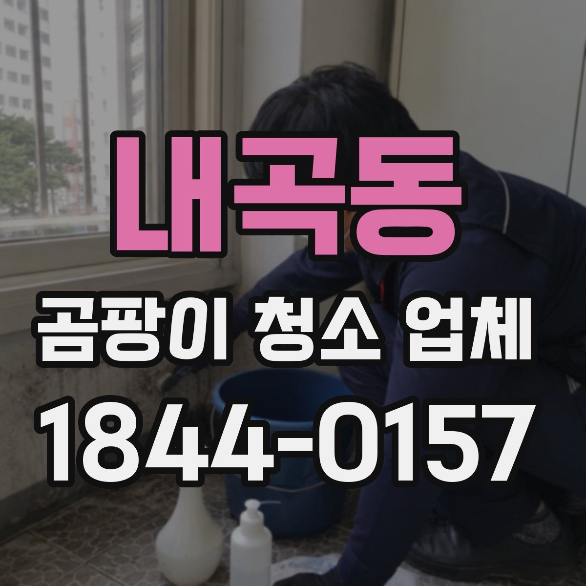 내곡동 곰팡이 청소 업체