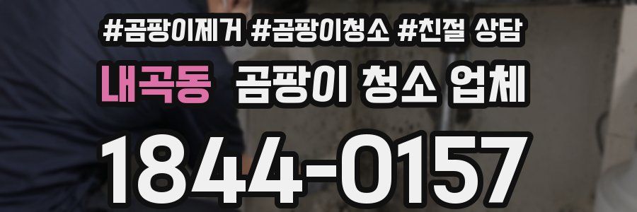 내곡동 곰팡이 청소 업체