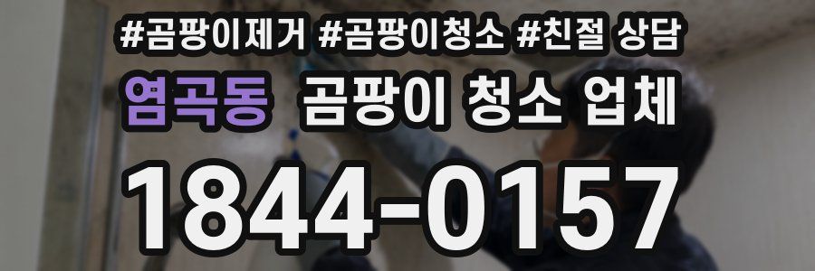 염곡동 곰팡이 청소 업체