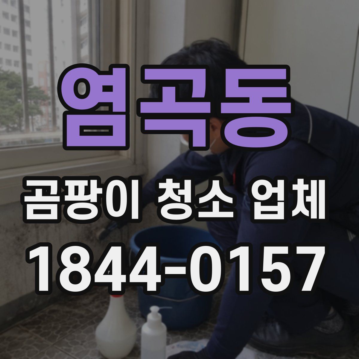 염곡동 곰팡이 청소 업체
