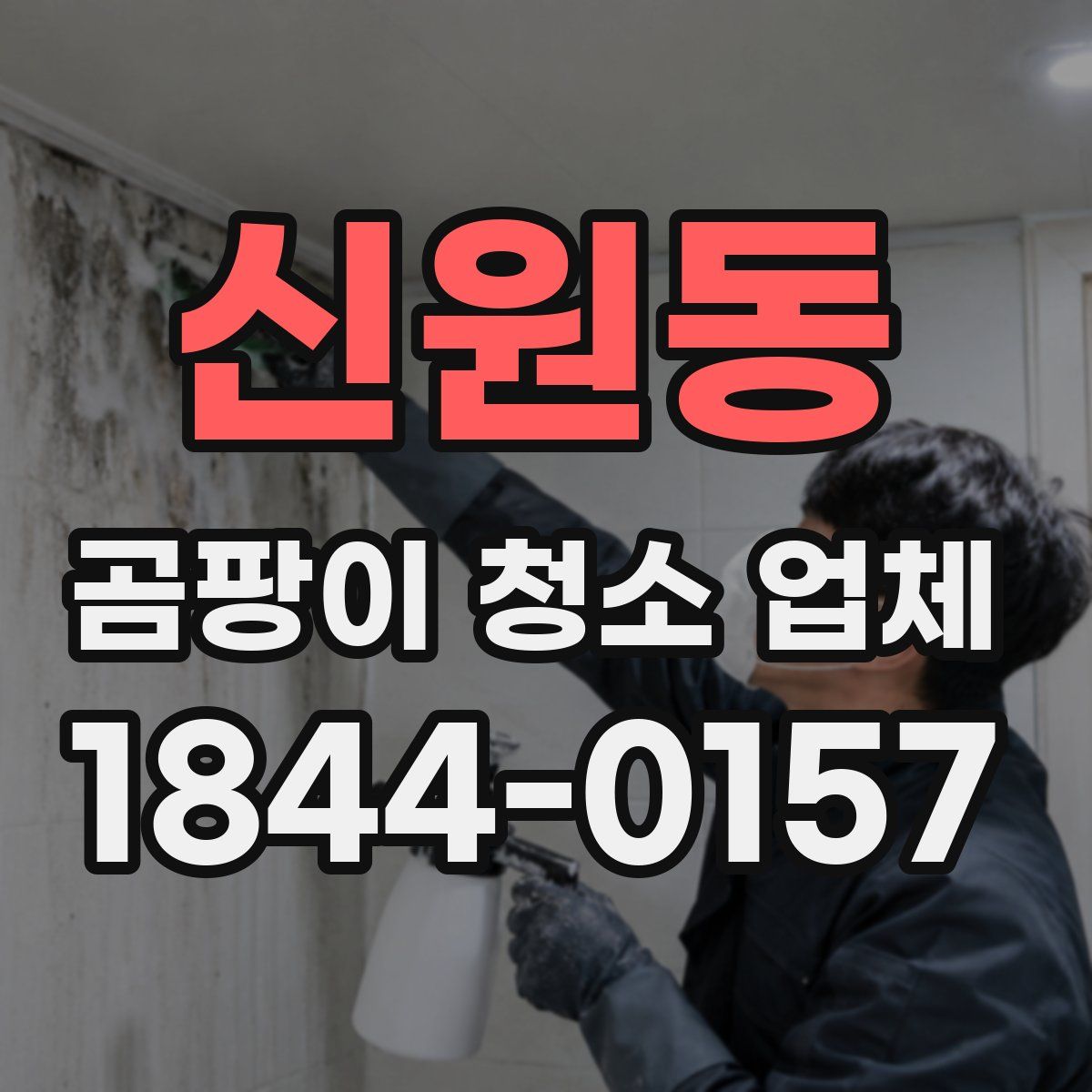 신원동 곰팡이 청소 업체