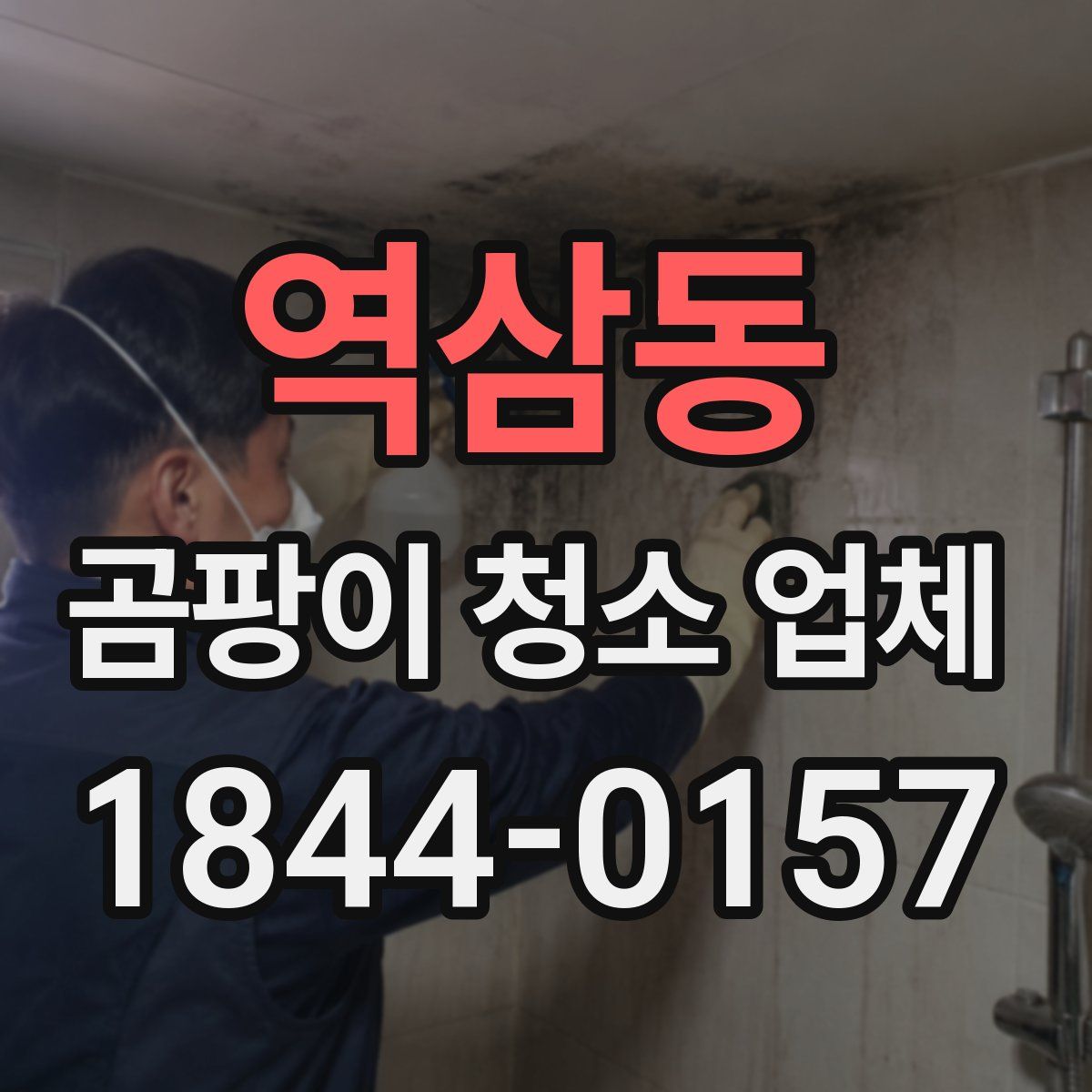 역삼동 곰팡이 청소 업체