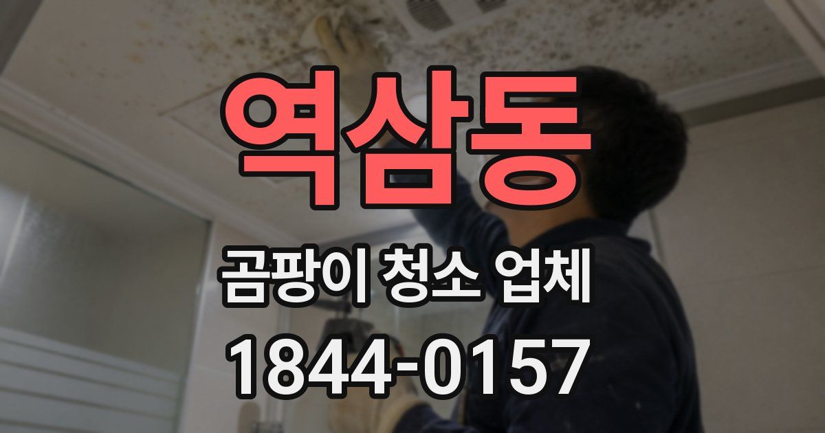 역삼동 곰팡이 청소 업체