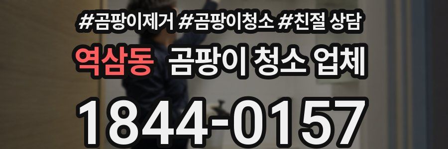 역삼동 곰팡이 청소 업체