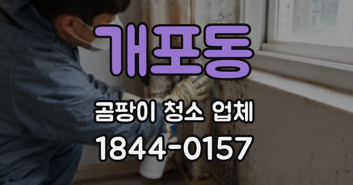 개포동 곰팡이 청소 업체