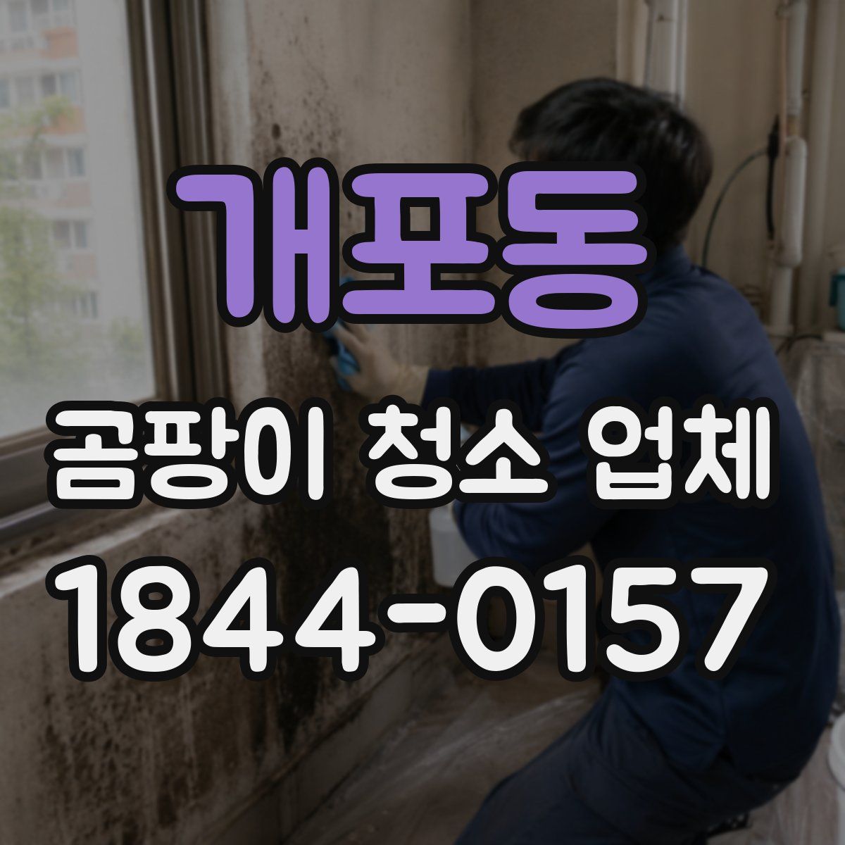 개포동 곰팡이 청소 업체