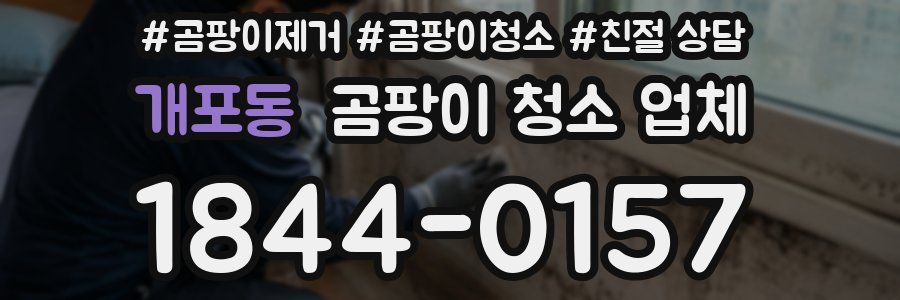 개포동 곰팡이 청소 업체