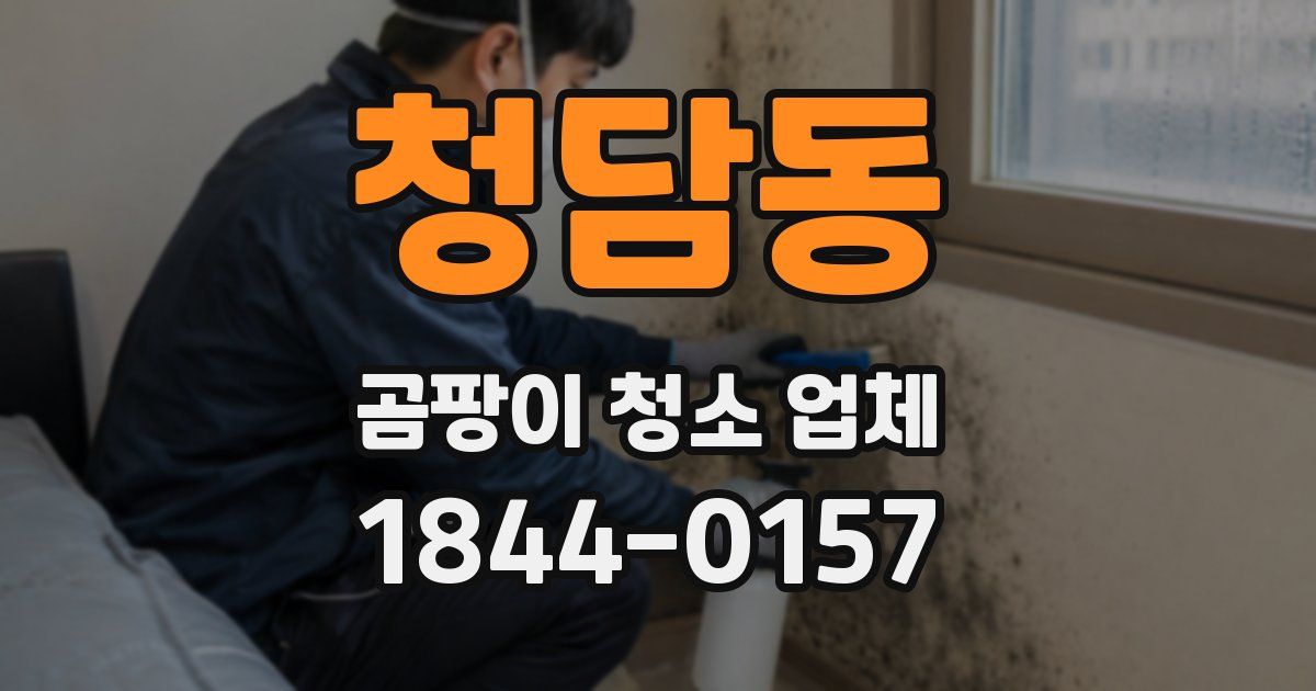 청담동 곰팡이 청소 업체