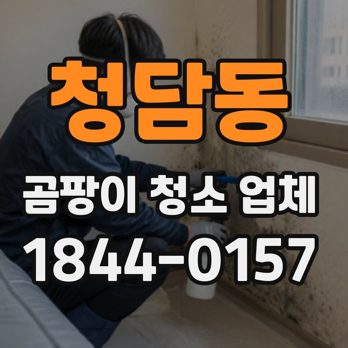 청담동 곰팡이 청소 업체