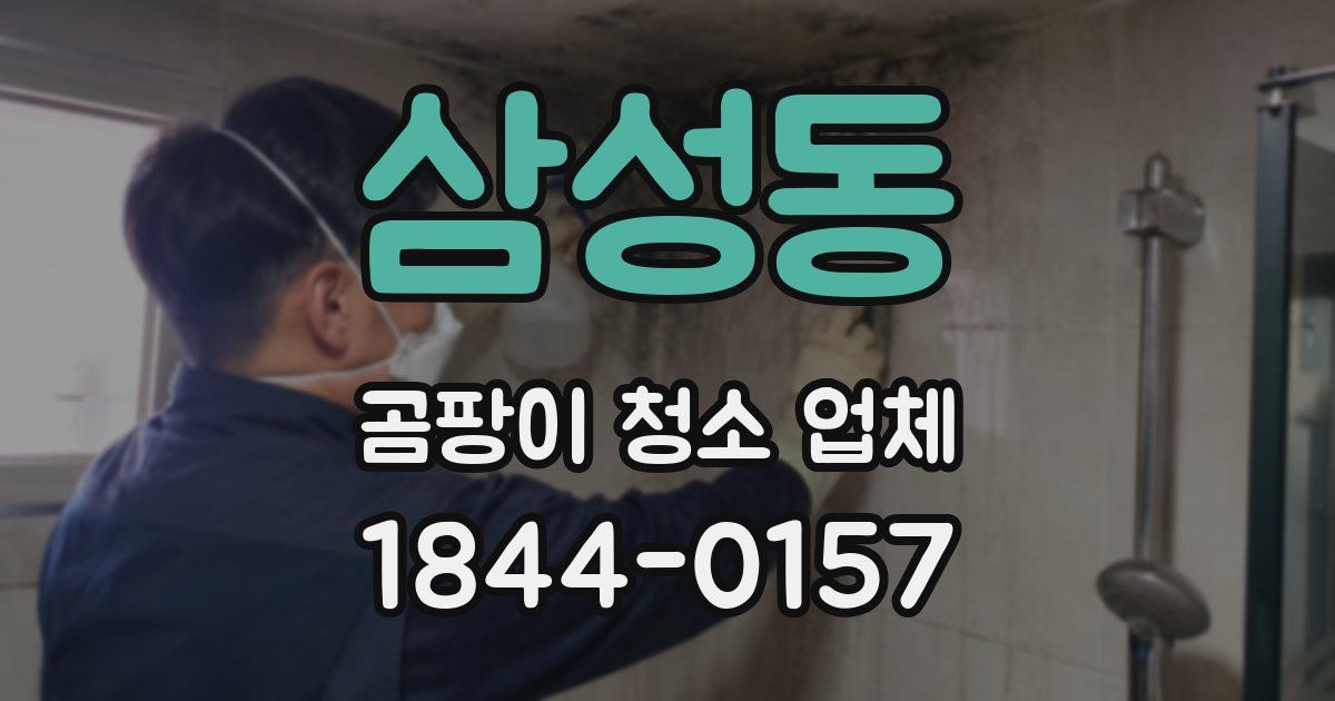 삼성동 곰팡이 청소 업체