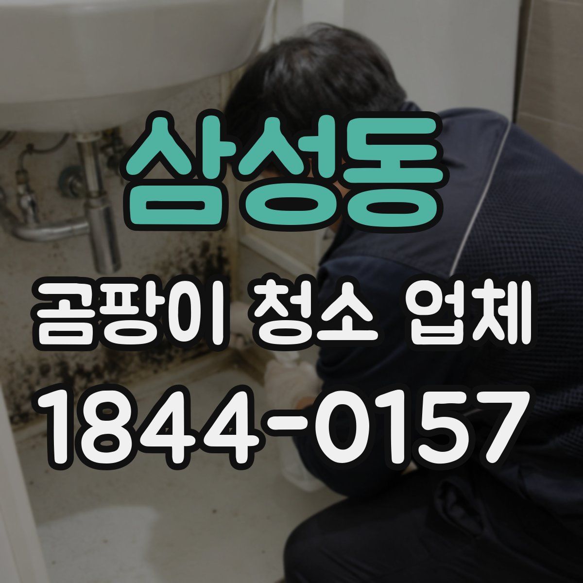 삼성동 곰팡이 청소 업체
