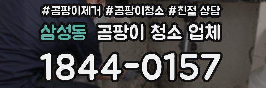 삼성동 곰팡이 청소 업체