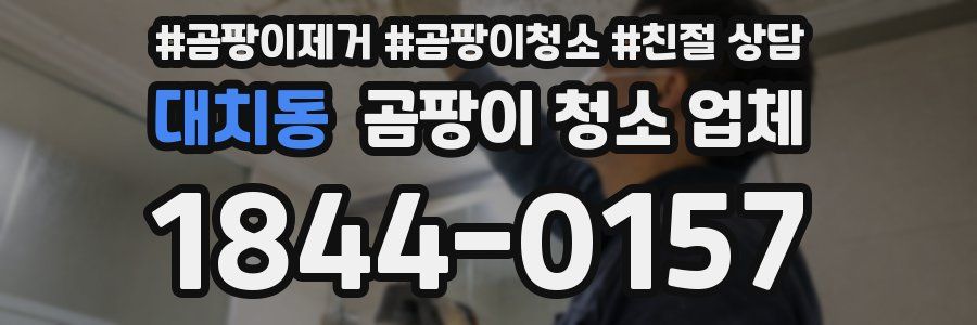 대치동 곰팡이 청소 업체