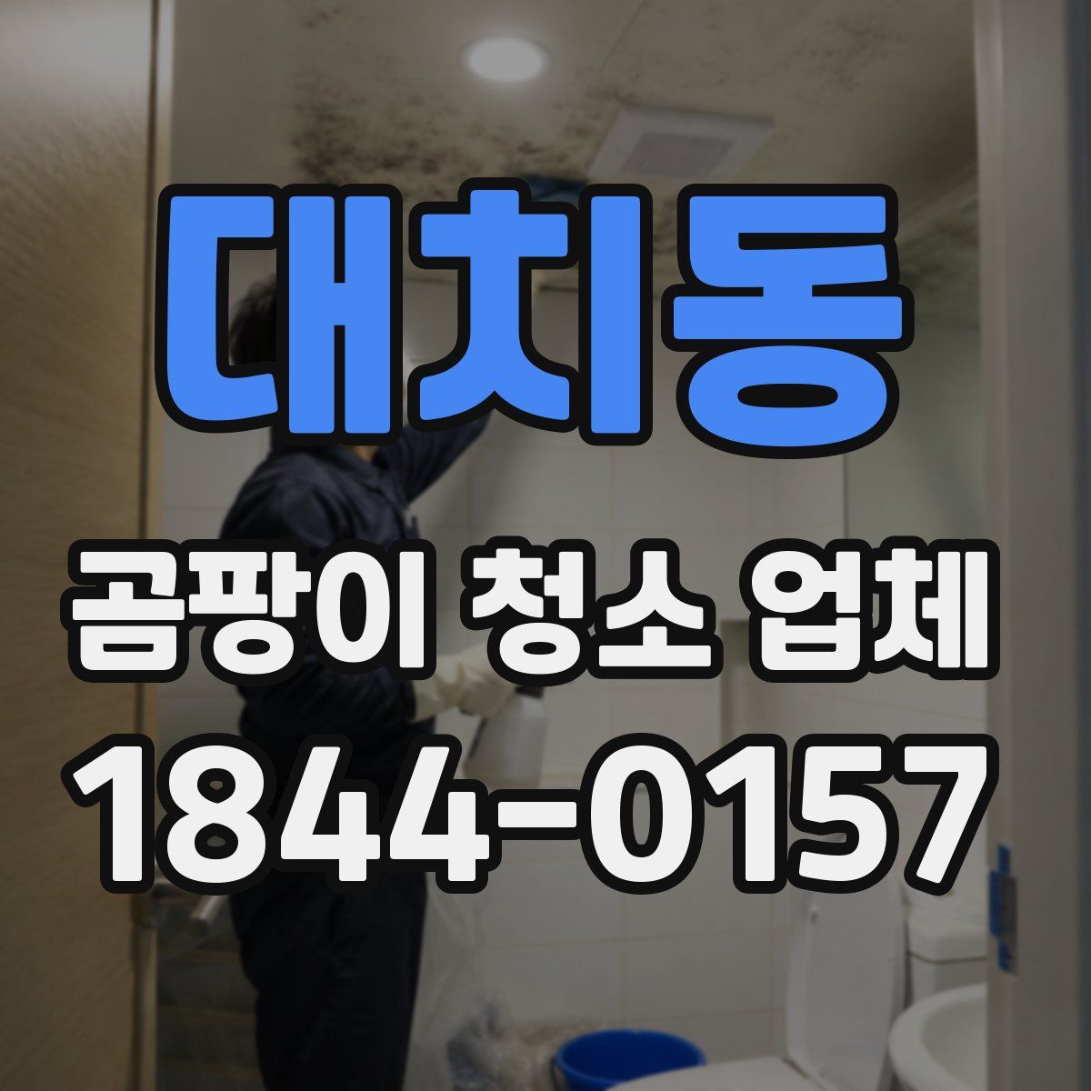 대치동 곰팡이 청소 업체