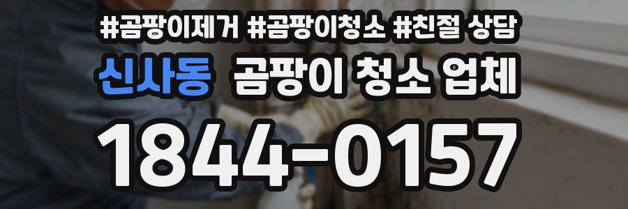 신사동 곰팡이 청소 업체