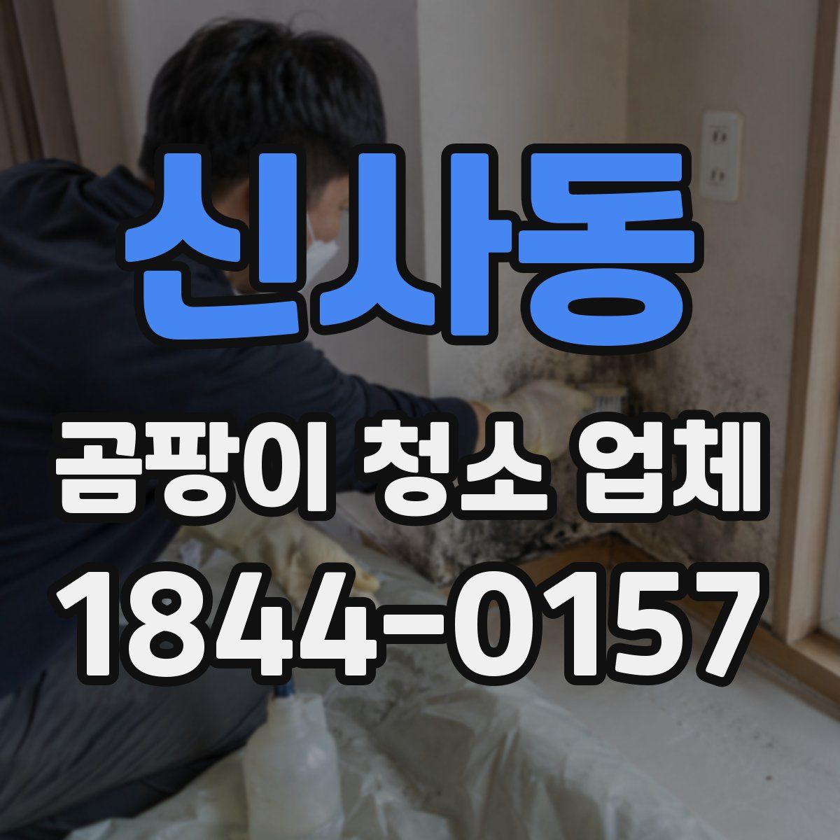 신사동 곰팡이 청소 업체