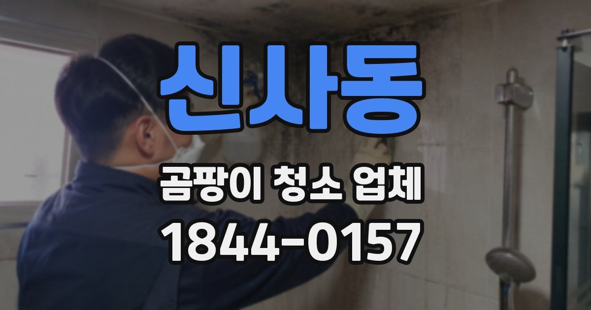 신사동 곰팡이 청소 업체
