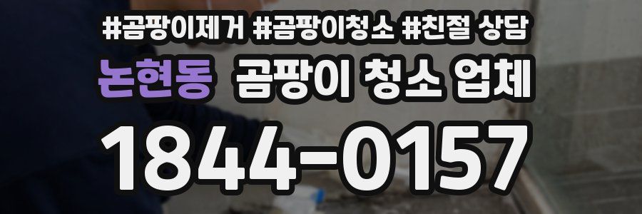논현동 곰팡이 청소 업체