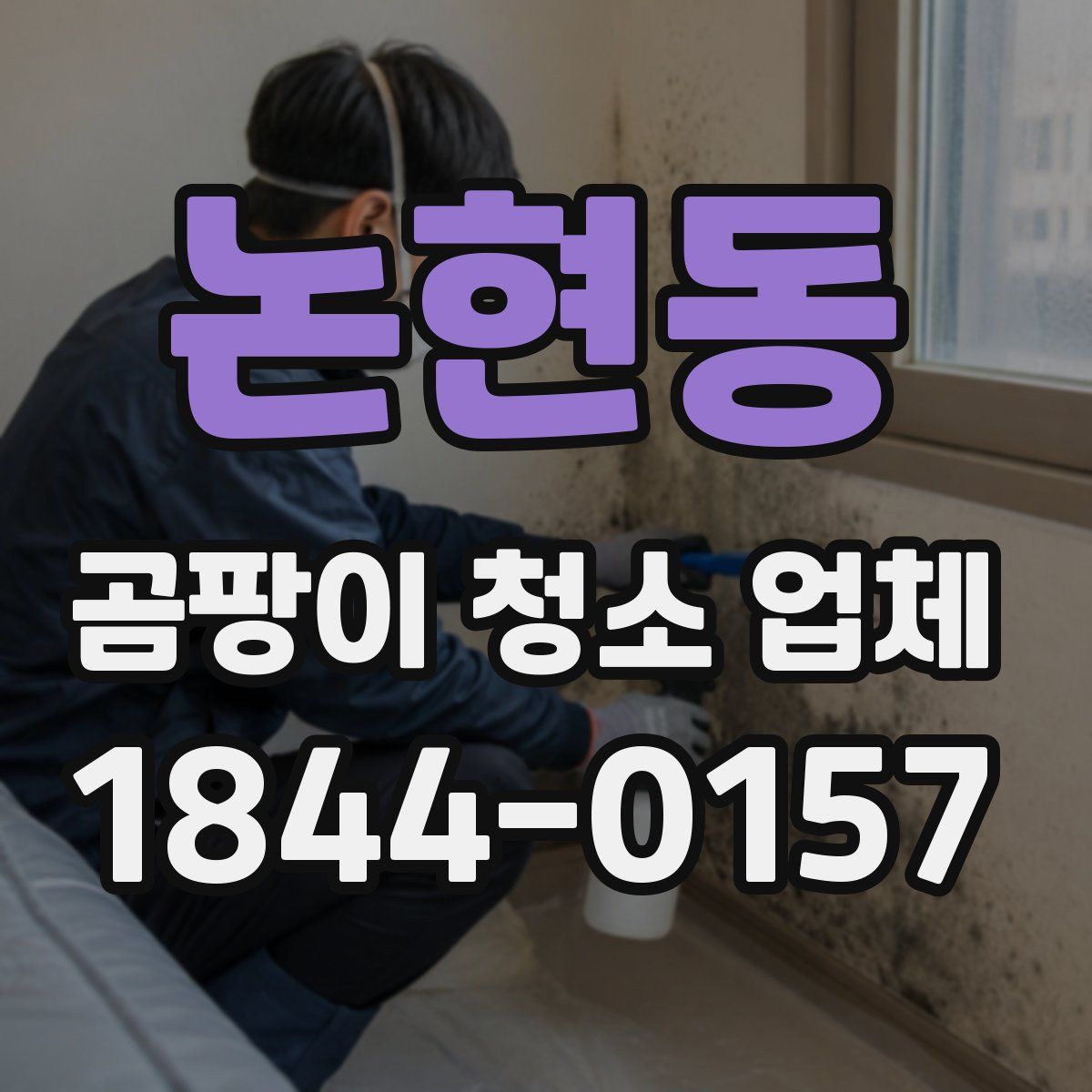 논현동 곰팡이 청소 업체
