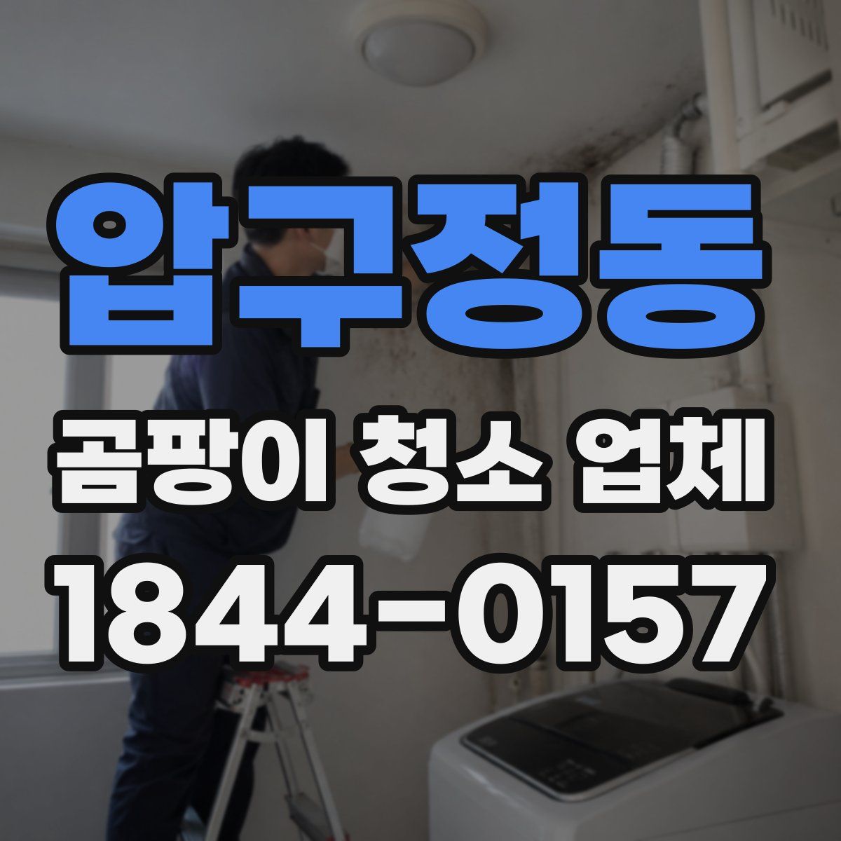 압구정동 곰팡이 청소 업체