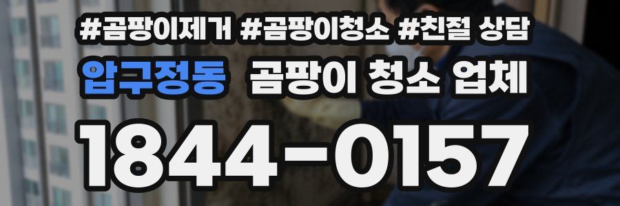 압구정동 곰팡이 청소 업체