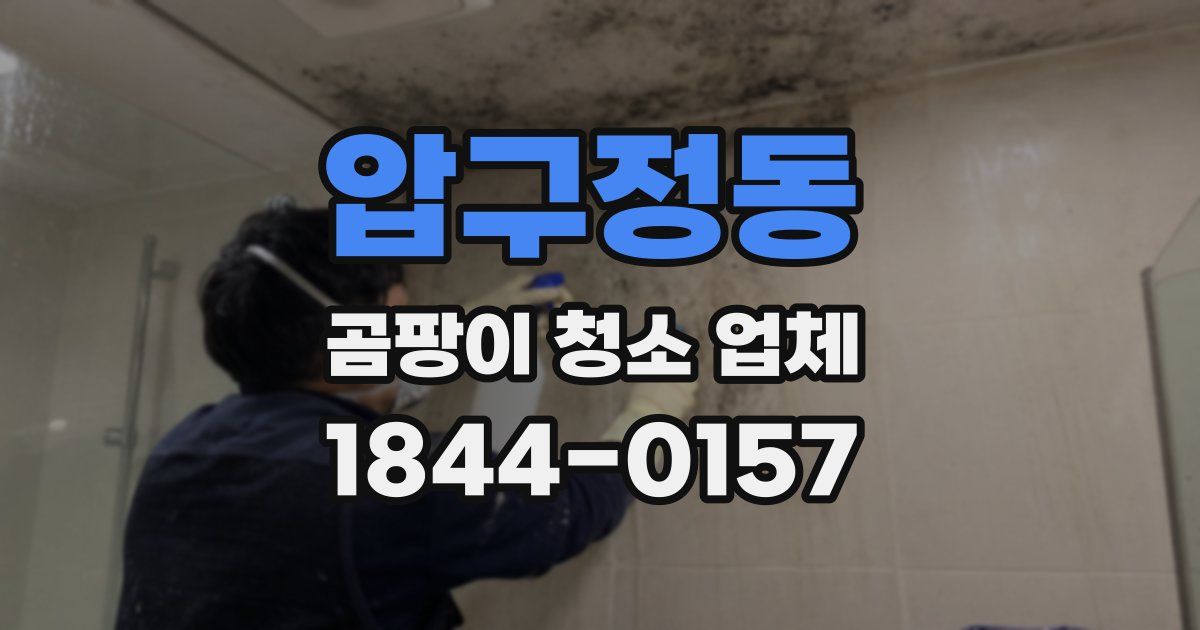 압구정동 곰팡이 청소 업체