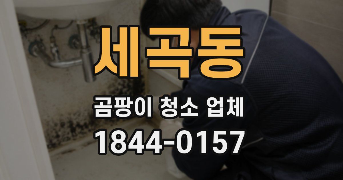 세곡동 곰팡이 청소 업체