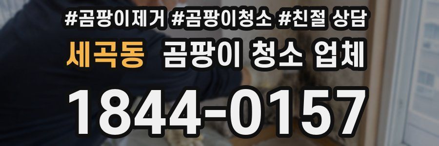 세곡동 곰팡이 청소 업체