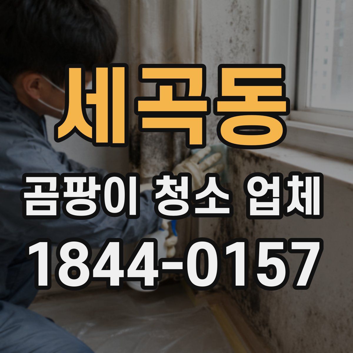 세곡동 곰팡이 청소 업체