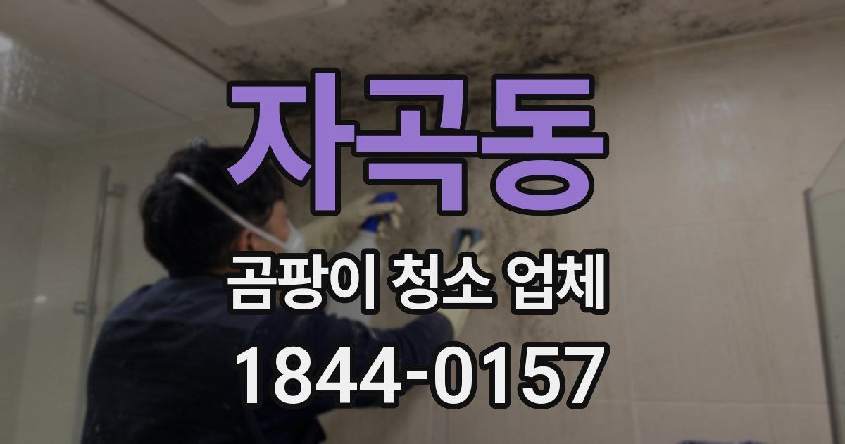 자곡동 곰팡이 청소 업체