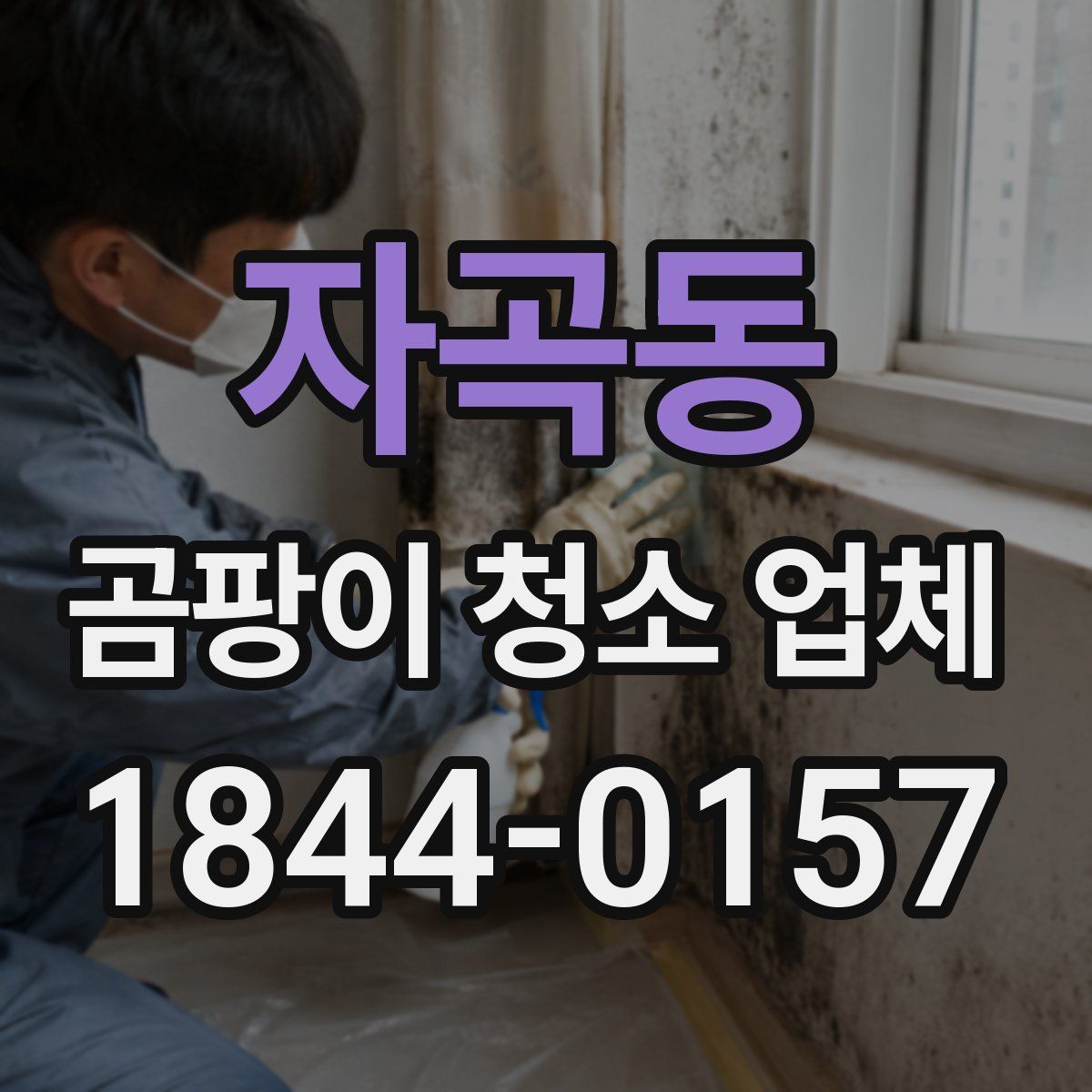 자곡동 곰팡이 청소 업체