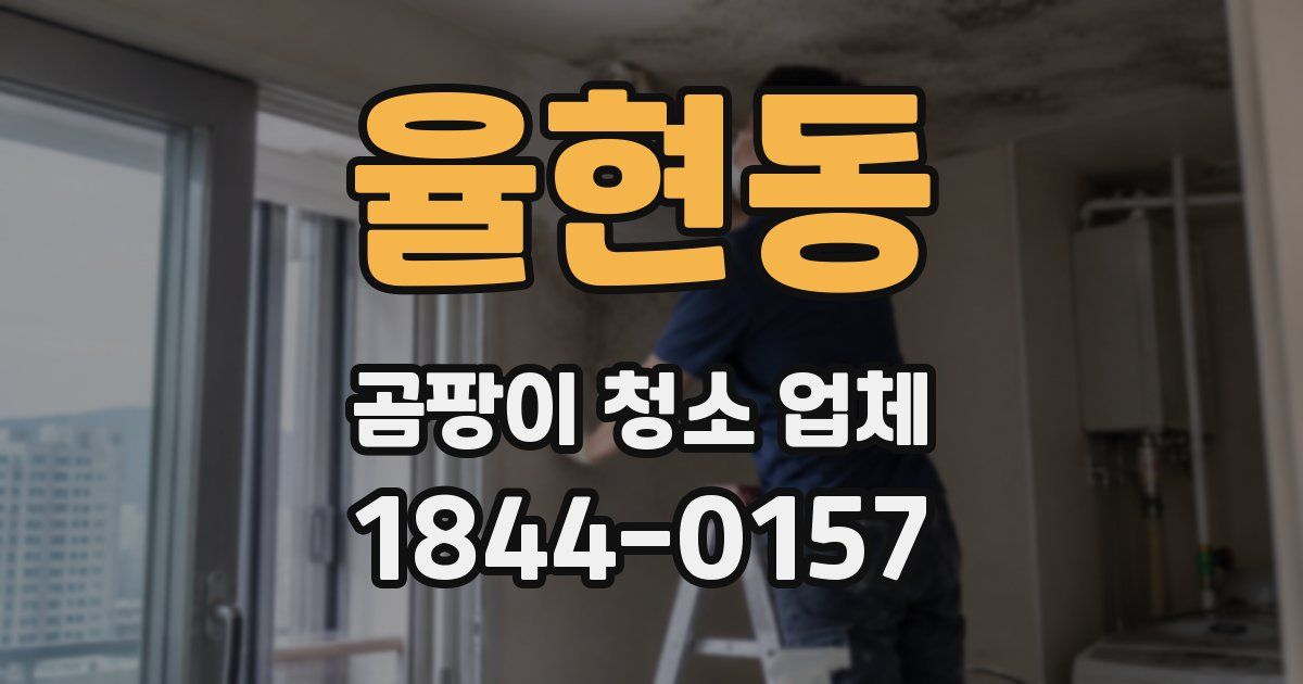 율현동 곰팡이 청소 업체