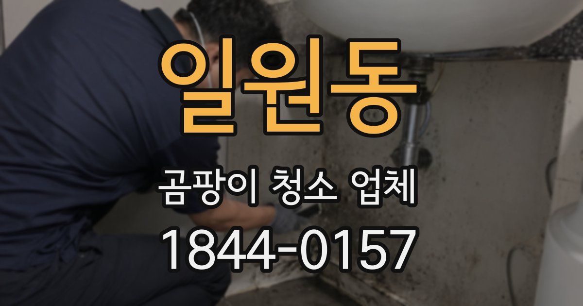 일원동 곰팡이 청소 업체